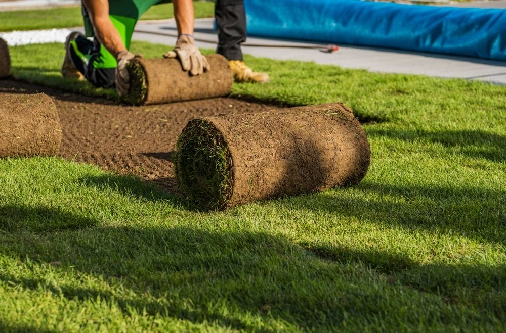 Turf Installation and supply in Newcastle, Australia
