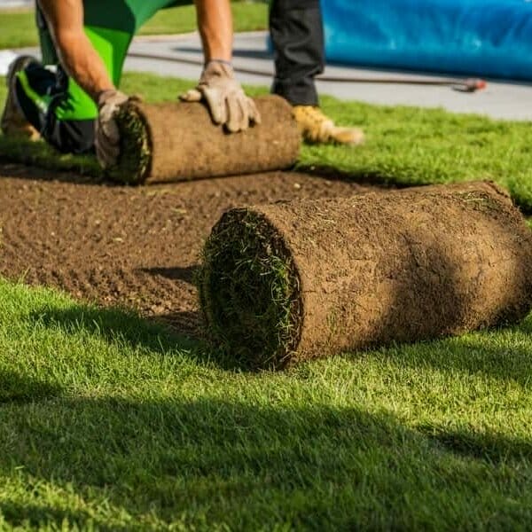Turf Installation and supply in Newcastle, Australia